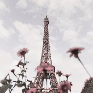 Spring Paris phone wallpaper