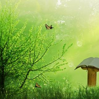 Spring and books wallpaper