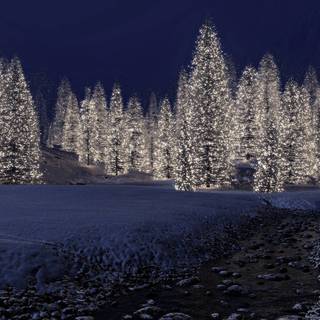 Winter snow lights wallpaper