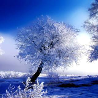 Aesthetic winter HD wallpaper