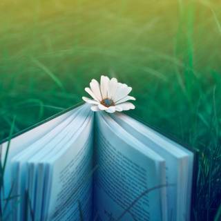 Spring and books wallpaper