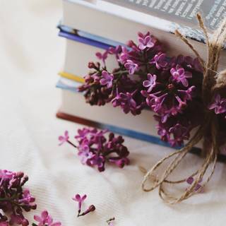Spring and books wallpaper
