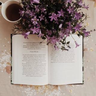 Spring book aesthetic wallpaper