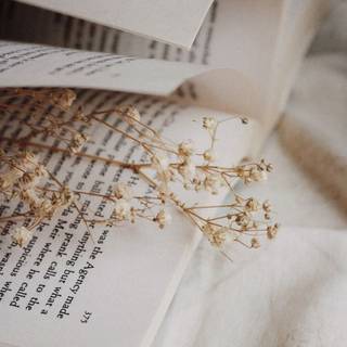 Spring book aesthetic wallpaper