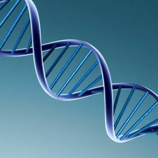 Biology desktop wallpaper