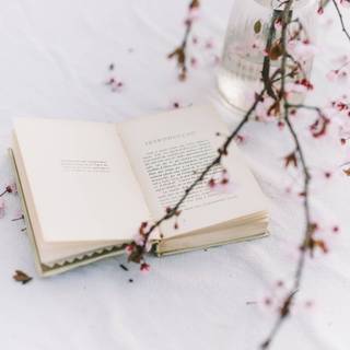 Spring book aesthetic wallpaper