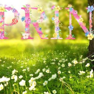 First Day spring 2023 wallpaper