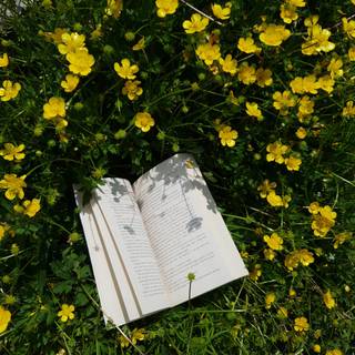 Spring book aesthetic wallpaper