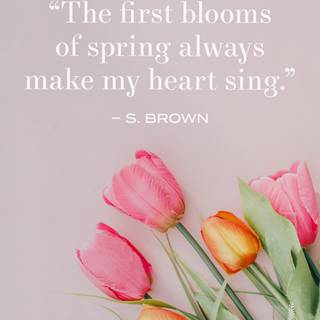 First Day spring 2023 wallpaper