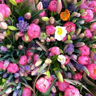 First Day spring 2023 wallpaper