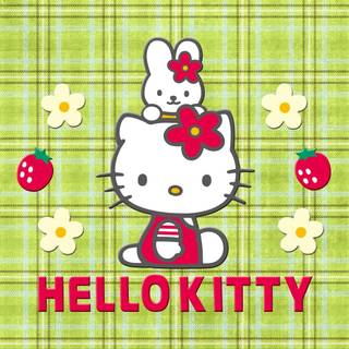 Hello Kitty green wallpaper