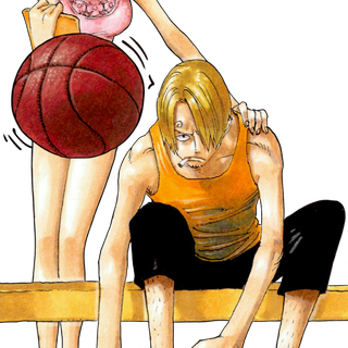 Sanji Nami wallpaper