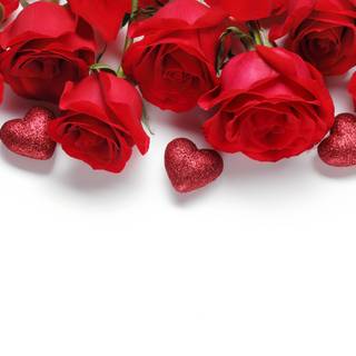 Valentines red roses wallpaper