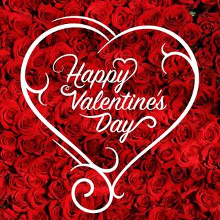 Valentines red roses wallpaper