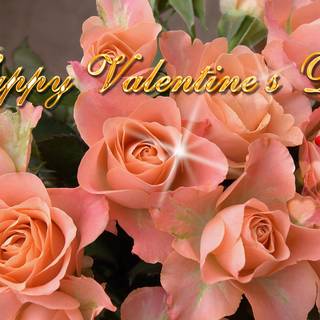 Valentines red roses wallpaper