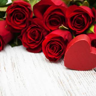 Valentines red roses wallpaper