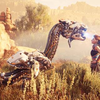 Horizon 4k wallpaper