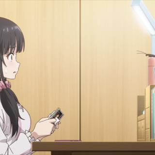 Yume Irido wallpaper