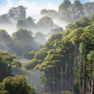 Horizon 4k wallpaper