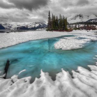 Spring snow wallpaper