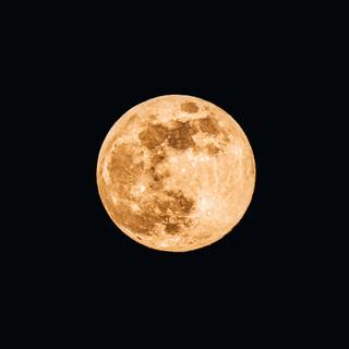 Bright moon wallpaper