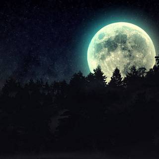 Bright moon wallpaper
