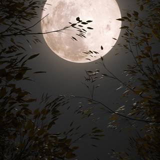 Bright moon wallpaper