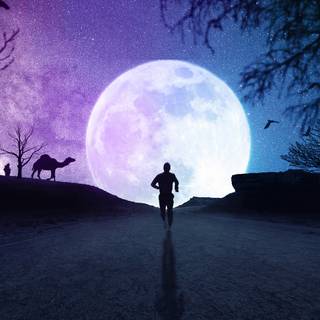 Bright moon wallpaper