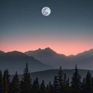 Bright moon wallpaper