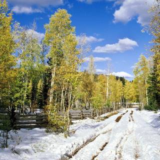 Spring snow wallpaper