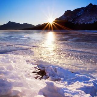 Spring snow wallpaper