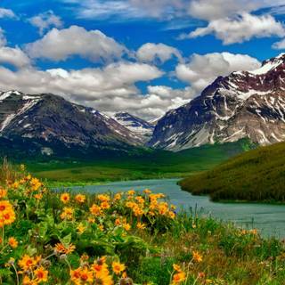 Spring snow wallpaper