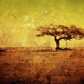 Yellow grunge wallpaper