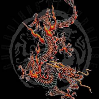 Chinese lion wallpaper