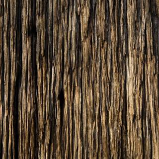 Tree wood wallpaper
