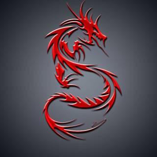 Chinese lion wallpaper