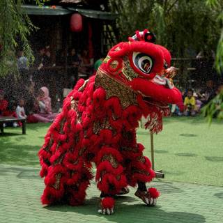 Chinese lion wallpaper