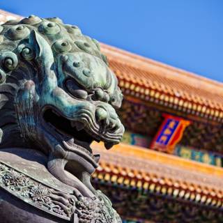 Chinese lion wallpaper