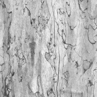Tree wood wallpaper
