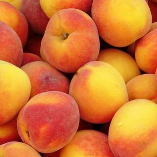 Peach laptop wallpaper