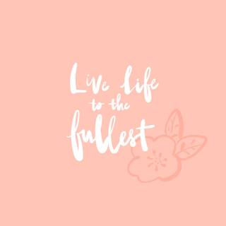 Peach laptop wallpaper