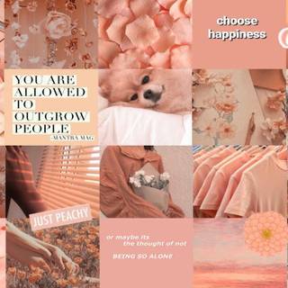 Peach laptop wallpaper