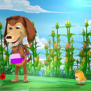 Perro Chocolo wallpaper