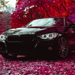Black BMW 4k wallpaper