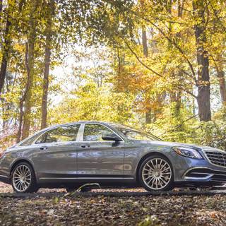 Mercedes-Maybach S650 wallpaper