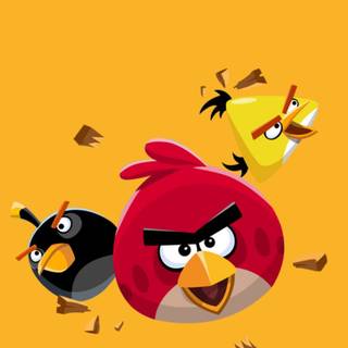 Angry Birds mobile wallpaper