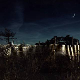 Summer moon desktop wallpaper