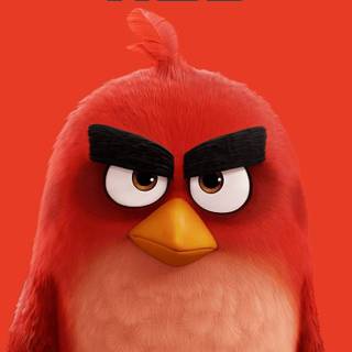 Angry Birds mobile wallpaper