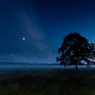 Summer moon desktop wallpaper