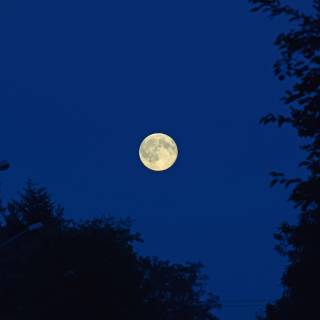 Summer moon desktop wallpaper